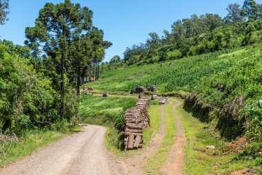 Kirli yol, orman ve çiftlik arazileri, Linha nova köyü, Rio Grande do Sul, Brezilya