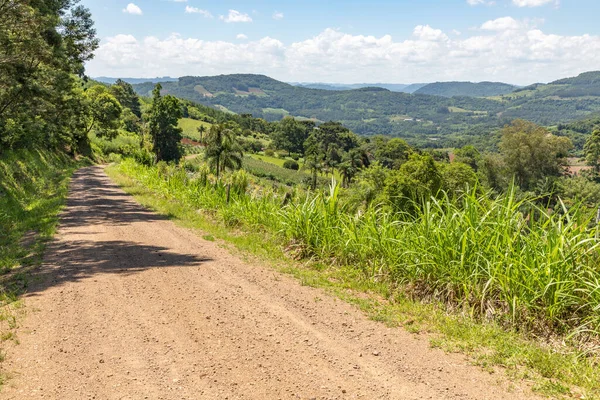 Kirli yol, orman ve çiftlik arazileri, Linha nova köyü, Rio Grande do Sul, Brezilya