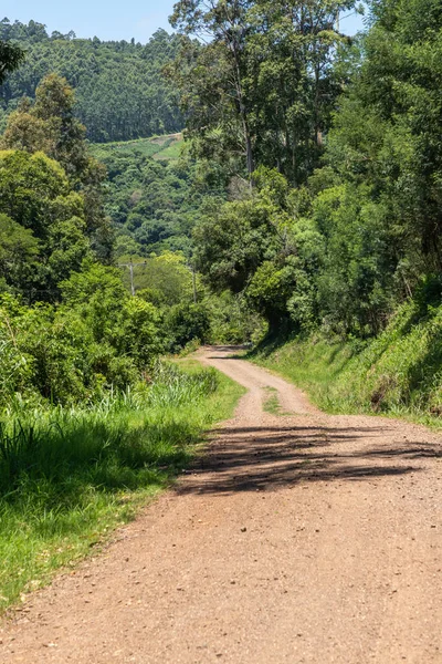 Kirli yol, orman ve çiftlik arazileri, Linha nova köyü, Rio Grande do Sul, Brezilya