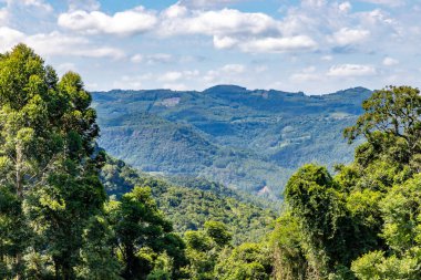 Ormanlı ve tarlalı bir vadi, Picada Cafe, Rio Grande do Sul, Brezilya