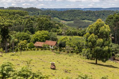 Tarlaları, arıları ve ormanı olan bir çiftlik, Picada Cafe, Rio Grande do Sul, Brezilya