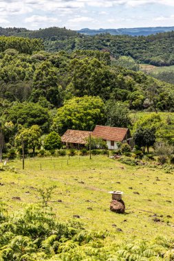 Tarlaları, arıları ve ormanı olan bir çiftlik, Picada Cafe, Rio Grande do Sul, Brezilya