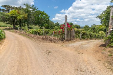 Kirli yol ve çiçekli çiftlik kapısı, Picada Cafe, Rio Grande do Sul, Brezilya
