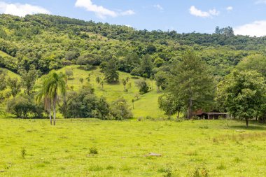 Tres Coroas, Rio Grande do Sul, Brezilya çevresindeki çayırlarda ve vadilerde