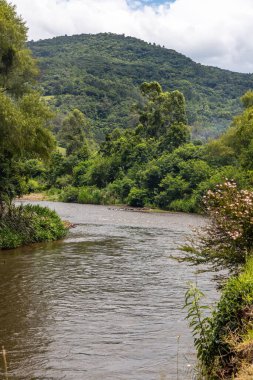 Etrafı ormanlarla çevrili Paranhana nehri, Tres Coroas, Rio Grande do Sul, Brezilya