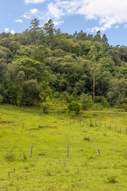 Tres Coroas, Rio Grande do Sul, Brezilya çevresindeki çayırlarda ve vadilerde