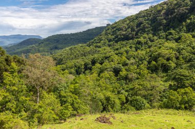 Tres Coroas, Rio Grande do Sul, Brezilya çevresindeki çayırlarda ve vadilerde