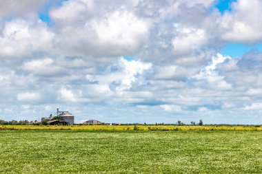 Tarladaki ve bulutlardaki soya tarlası, Kasetler, Rio Grande do Sul, Brezilya