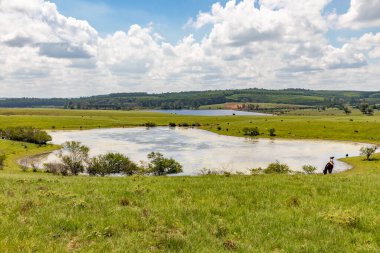 İnekler ve atlarla dolu çayırlık ve göl, Kasetler, Rio Grande do Sul, Brezilya