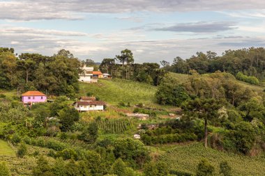 Evler, üzüm bağları ve vadideki orman, Bento Goncalf, Rio Grande do Sul, Brezilya