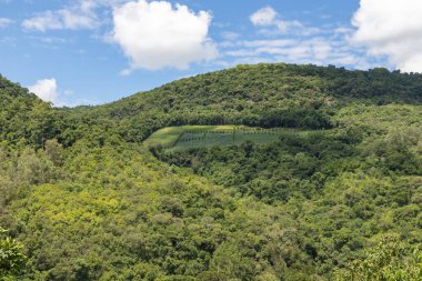 Vadideki üzüm bağları ve ormanlar, Bento Goncalf, Rio Grande do Sul, Brezilya