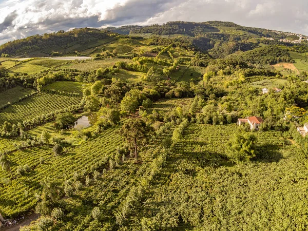 Vadideki üzüm bağları ve köy, Bento Goncalf, Rio Grande do Sul, Brezilya