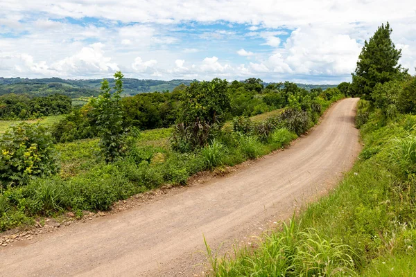 Dirty road around farm plantation and forest, Bento Goncalves, Rio Grande do Sul, Brazil
