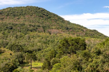 Orman ve dağların mavi gökyüzü, Santa Maria do Herval, Rio Grande do Sul, Brezilya