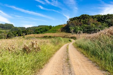 Tarlaları, ormanı ve dağları olan kirli bir yol Santa Maria do Herval, Rio Grande do Sul, Brezilya