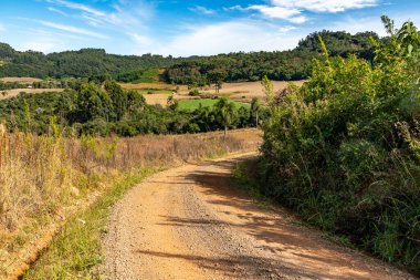 Tarlaları, ormanı ve dağları olan kirli bir yol Santa Maria do Herval, Rio Grande do Sul, Brezilya