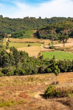 Tarlaları, ormanı ve dağları olan kirli bir yol Santa Maria do Herval, Rio Grande do Sul, Brezilya