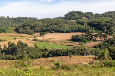 Tarlaları, ormanı ve dağları olan kirli bir yol Santa Maria do Herval, Rio Grande do Sul, Brezilya