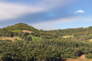 Çiftlik alanları, orman ve dağlar, Santa Maria do Herval, Rio Grande do Sul, Brezilya