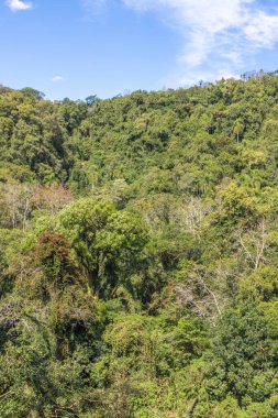 Orman mavi gökyüzü ile dağda, Ivoti, Rio Grande do Sul, Brezilya