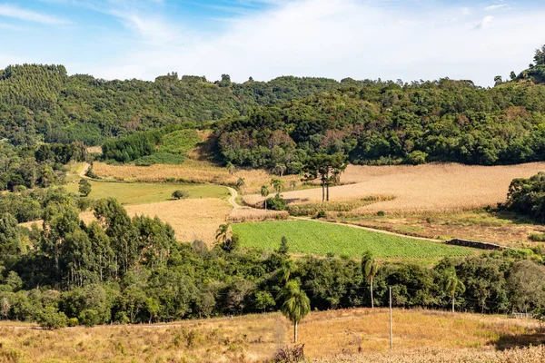 Camino Sucio Con Campos Agrícolas Bosques Montañas Santa Maria Herval — Foto de Stock