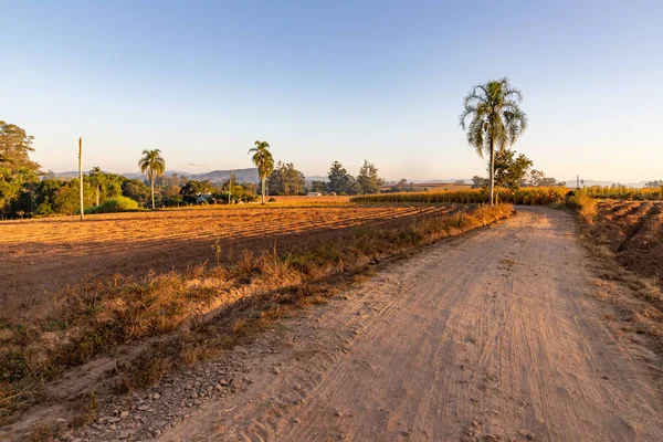 Dirty Road Farm Fields Sunrise Venancio Aires Rio Grande Sul — Stock Fotó