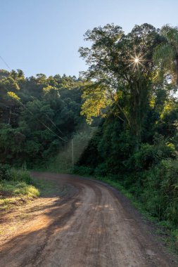 Etrafında orman ve güneş ışınları olan kirli yol, Pnhal Alto, Nova Petropolis, Rio Grande do Sul, Brezilya