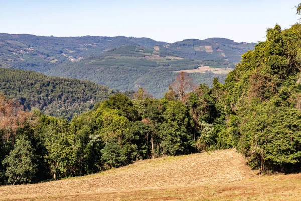 Orman ve çiftlik arazisi dağların üzerinde, Pnhal Alto, Nova Petropolis, Rio Grande do Sul, Brezilya