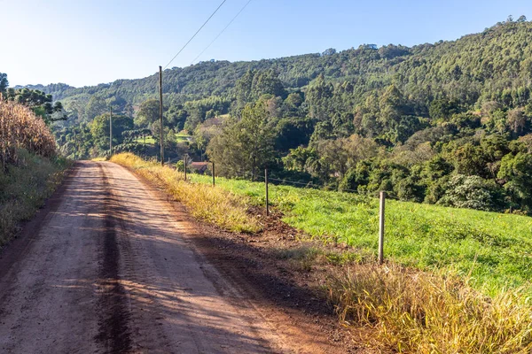 Tarlası ve ormanı olan çiftlik yolu, Pnhal Alto, Nova Petropolis, Rio Grande do Sul, Brezilya