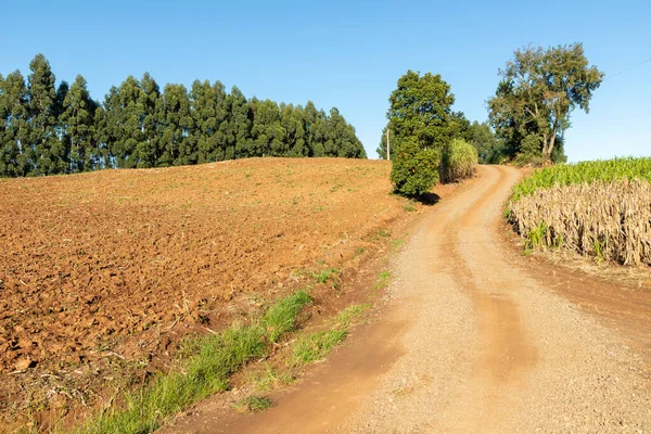 Toprak ekimi ve karayolu hazırlığı, Pnhal Alto, Nova Petropolis, Rio Grande do Sul, Brezilya