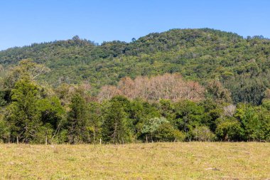 Çiftlik alanı, orman ve dağ, Santa Maria do Herval, Rio Grande do Sul, Brezilya