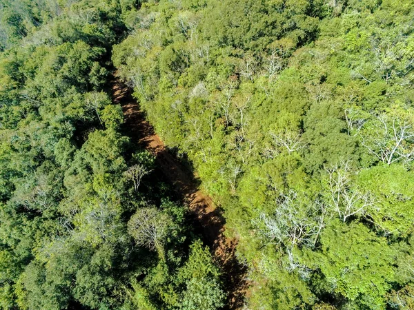 Aerial view of dirty road with forest and vegetation around, Santa Maria do Herval, Rio Grande do Sul, Brazil