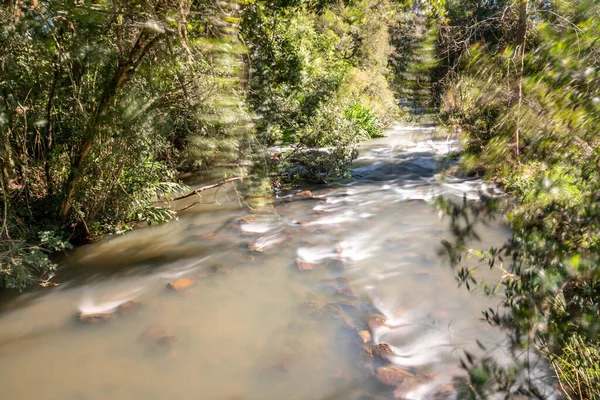 River Vegetation Forest Santa Maria Herval Rio Grande Sul Brazil — Stock Photo, Image