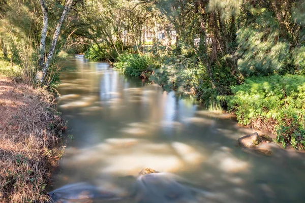 River Vegetation Forest Santa Maria Herval Rio Grande Sul Brazil — Stock Photo, Image