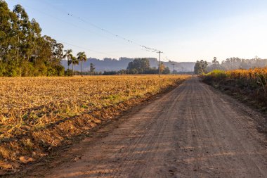 Kirli yol ve tarlalar, Venancio Aires, Rio Grande do Sul, Brezilya