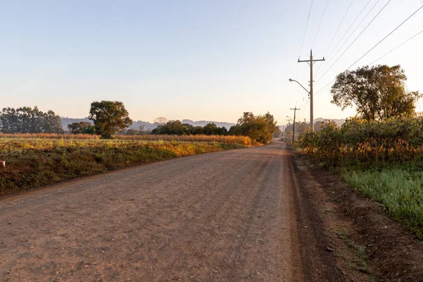 Dirty Road Farm Fields Venancio Aires Rio Grande Sul Brazil — Stock Photo, Image