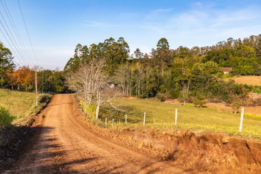 Tarlaları ve ormanı olan çiftlik yolu, Venancio Aires, Rio Grande do Sul, Brezilya