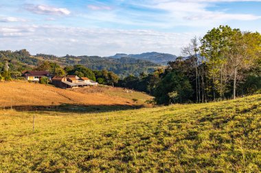Vadideki tarla ve orman, Venancio Aires, Rio Grande do Sul, Brezilya