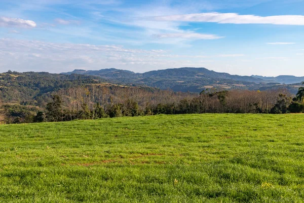 Farm Field Forest Valley Venancio Aires Rio Grande Sul Brazil — Stock Photo, Image