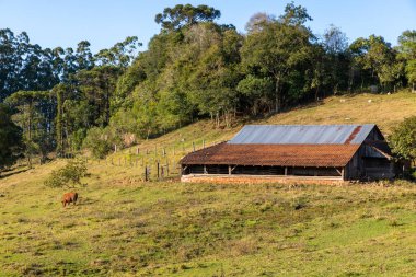 Etrafı ormanlarla çevrili ahır ve çiftlik arazisi, Santa Cruz do Sul, Rio Grande do Sul, Brezilya