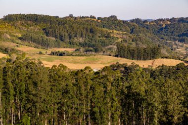 Ormanlı bir vadide tarlalar, Santa Cruz do Sul, Rio Grande do Sul, Brezilya