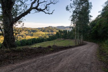 Kirli yol, ormanlı bir vadideki tarlalar, Santa Cruz do Sul, Rio Grande do Sul, Brezilya