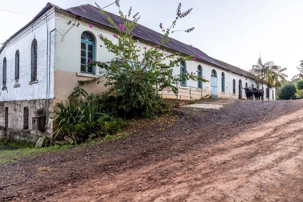 Antiguo Edificio Piedra Con Plantas Dos Toros Santa Cruz Sul — Foto de Stock