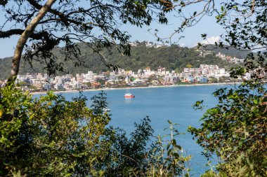 Bombinhas sahilindeki orman ve binalar, Bombinhas, Santa Catarina, Brezilya
