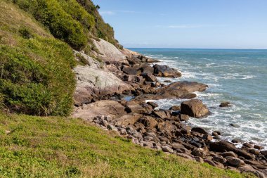 Sepultura sahilindeki orman ve kayalar, Bombinhas, Santa Catarina, Brezilya