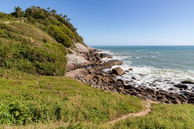 Sepultura sahilindeki orman ve kayalar, Bombinhas, Santa Catarina, Brezilya
