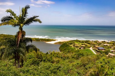 Arka planda göl ve okyanus olan orman manzarası, Rosa, Imbituba, Santa Catarina, Brezilya