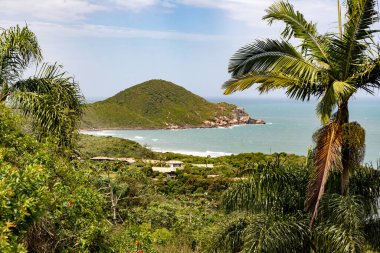 Arka planda göl ve okyanus olan orman manzarası, Rosa, Imbituba, Santa Catarina, Brezilya