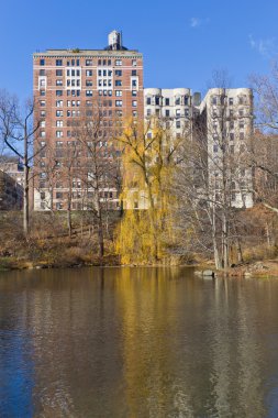 Central Park lake bina ve ağaç yansıması ile