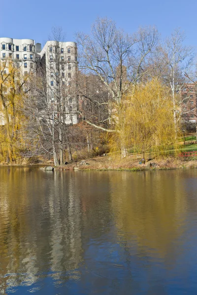 Zentraler Parksee mit Gebäude und Baumreflexion — Stockfoto